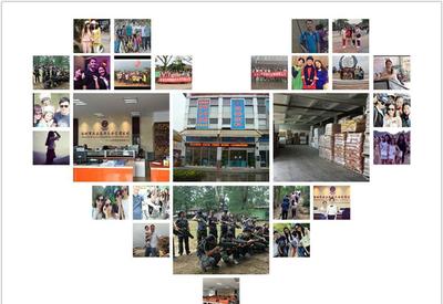 8G黃、8G熒光黃、5#綠、熒光黃8G等塑料熒光顏料 鞍山七彩惠豐標準詳解及市場采購指南